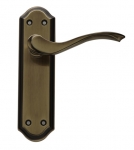 Windsor Lever on Backplate